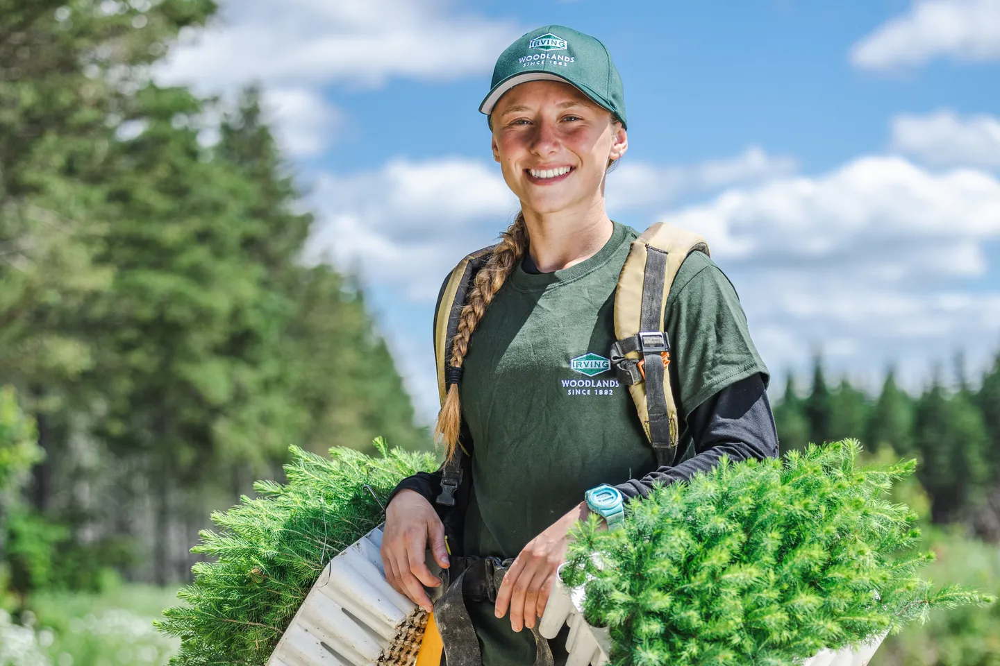34 millions de semis plantés en 2026
