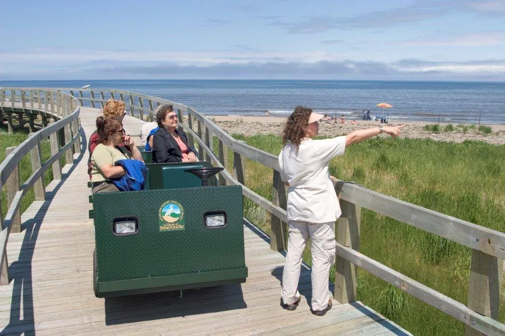 Electric Vehicle Tours 